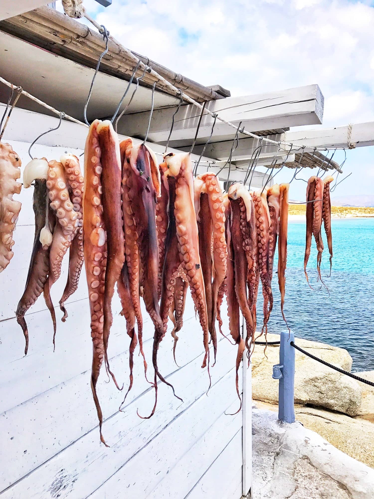 Fresh seafood dishes