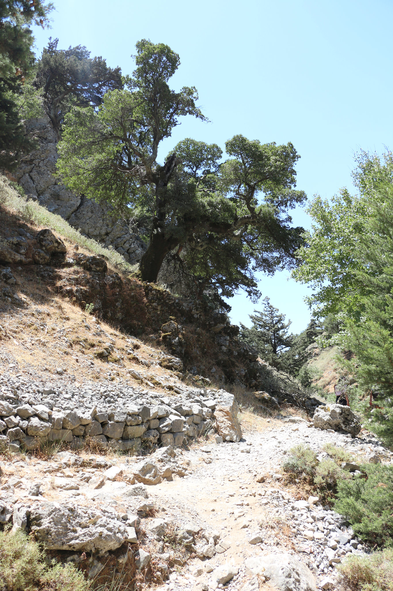 Agia Irini beach, Thirasia: Secluded & Pristine